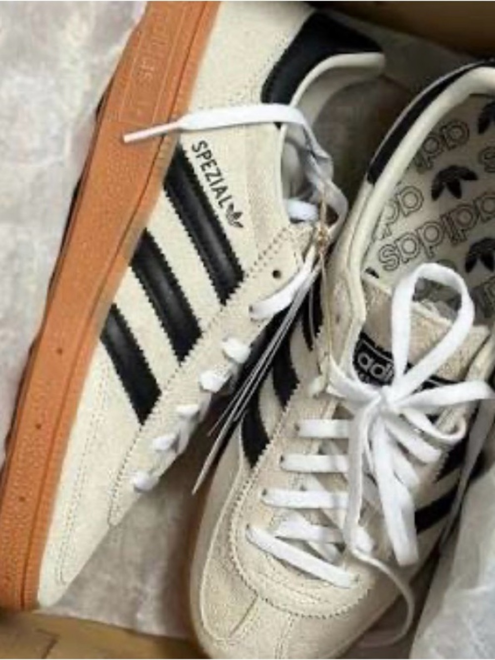 adidas Spezial Suede Sneaker in Off-White and Black with Gum Sole - Picture 6 of 6
